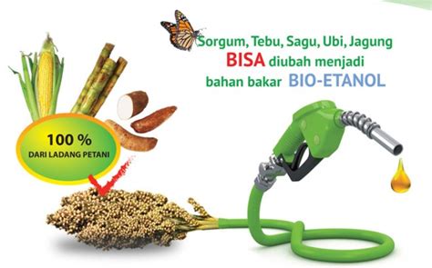 Droomster Keunggulan Dan Kelemahan Biofuel