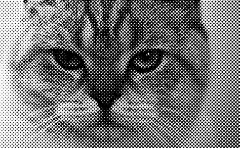 How To Halftone Images In Photoshop Halftoning 101 Shutterstock