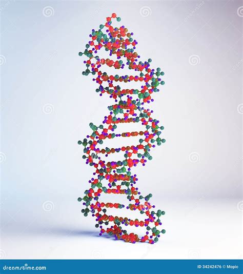 DNA Strand Model Stock Illustration | CartoonDealer.com #42432640