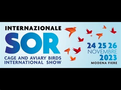 Mostra Ornitologica Modena Speciale Gloster YouTube