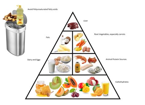 Ray Peat Diet: Everything You Should Know