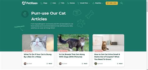 The 9 Best Websites for Cat Lovers of All Ages