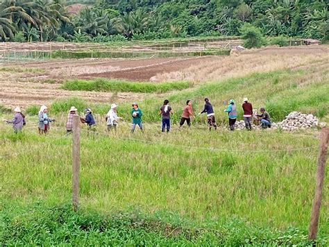 Project LAWA At BINHI Promotes GAD In Conner Apayao DSWD Field