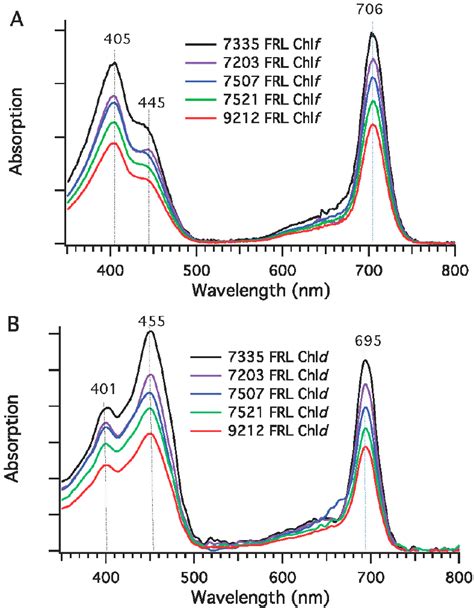 In Line Absorption Spectra For Chl F And Chl D From Five Cyanobacterial