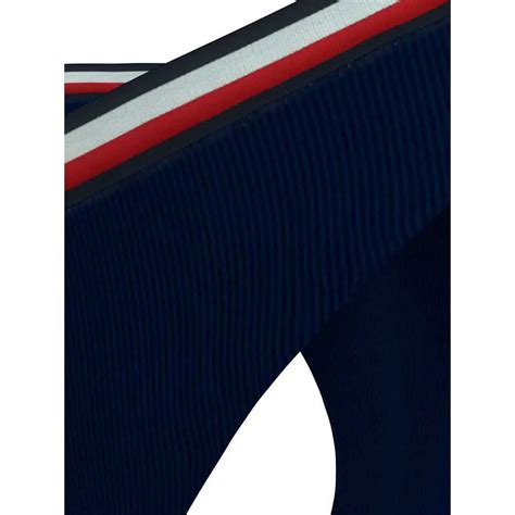 Tommy hilfiger Cheeky High Leg Bikini Höschen Mehrfarbig Dressinn