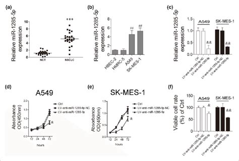 The Expression Levels Of Mir 1285 5p Are Upregulated In Nsclc Tissues