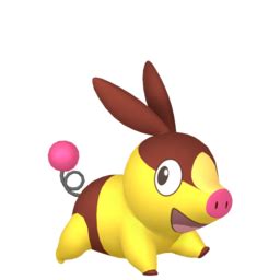 Tepig sprites gallery | Pokémon Database