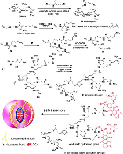 Schematic Illustrating The Synthesis Of Dendronized Heparin Dox Prodrug