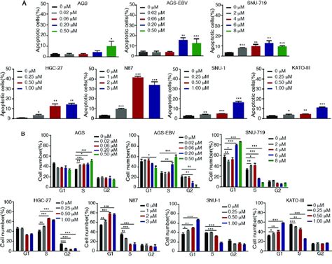 Tenovin Induces Apoptosis And Cell Cycle Arrest Of Gc Cells A