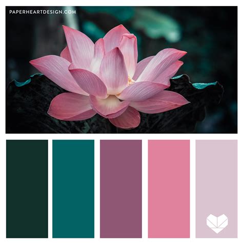 Color Palette: Peaceful Palettes — Paper Heart Design