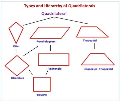 Shapes Quadrilaterals And Triangles Diagram Quizlet