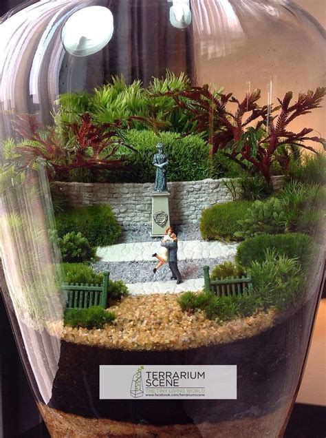 Bonsai Terrarium For Miniature Landscaping In Jars