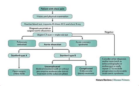 An Algorithm For The Management Of Acute Aortic Dissection Download