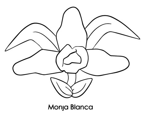 Dibujos De Monja Blanca Perfecta Para Colorear Para Colorear Pintar E