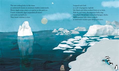 Iceberg Written By Claire Saxby And Illustrated By Jess Racklyeft