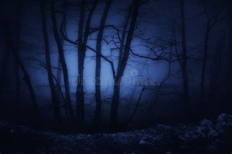 Silhouette Of Man In Dark Haunted Scary Forest On Halloween Night Stock