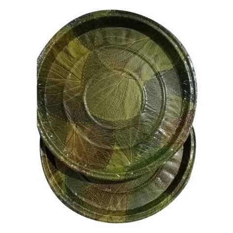 13 Inch Green Leaf Print Paper Plate At Rs 23 Pack Paper Plate In