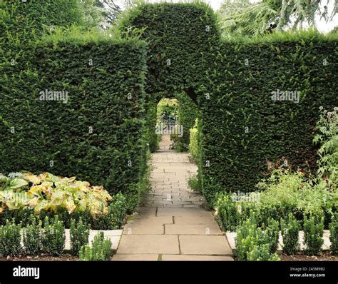 Hedgerow Shrubs Hi Res Stock Photography And Images Alamy