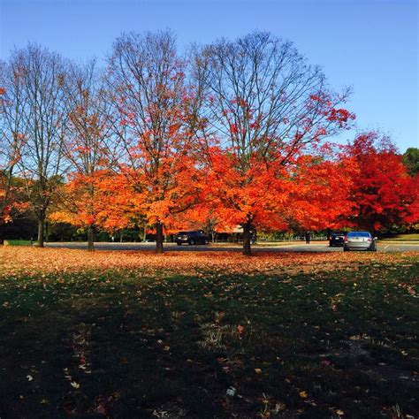 Holmdel Park NJ | Plants, Holmdel, Park