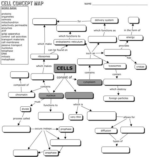 Cell Concept Map For Biology Students