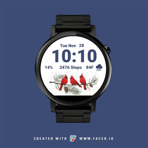 Bud Heckert Winter Cardinals Watch Face For Apple Watch Samsung