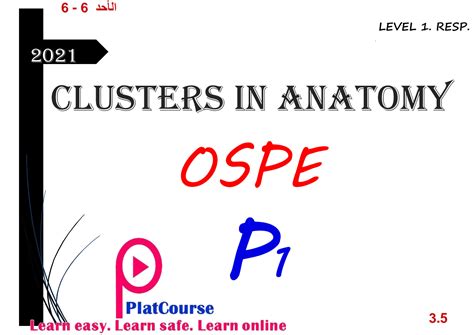 Solution Ospe Resp 1 Studypool