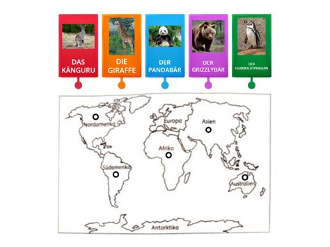 Tiere Der Kontinente Labelled Diagram