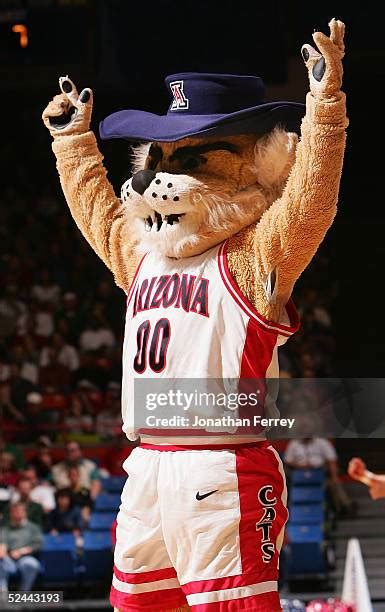 Wilber Mascot Photos And Premium High Res Pictures Getty Images