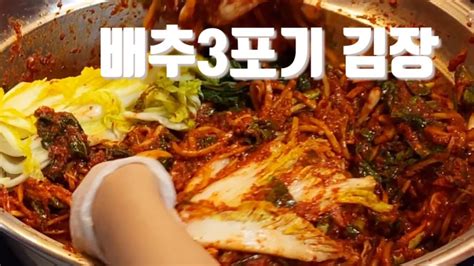 배추 3포기 절이기부터 보쌈까지 간단하게 만든 초보의 김장김치ㅣ김치맛은 익어야 알지만 김치속과 수육 케미는 최고 👍💯 Youtube