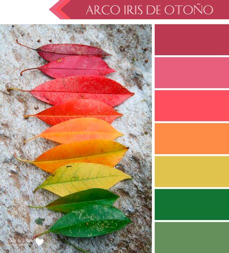 6 Paletas de Color para Otoño porque el Otoño también tiene un Arco