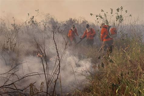 Ongs Pedem Ajuda Internacional Para Combater Inc Ndios No Pantanal