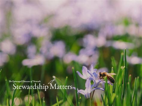 Stephen T. Busby, DDS - Superbowl Weekend is here! Share your favorite