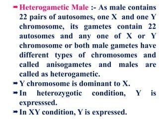 Sex Determination In Humans PDF