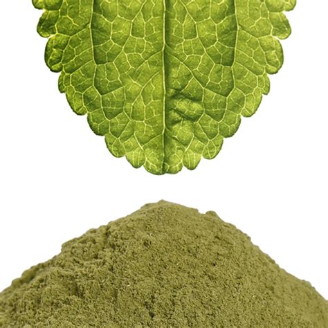 Stevia Powder Steviol Glycosides