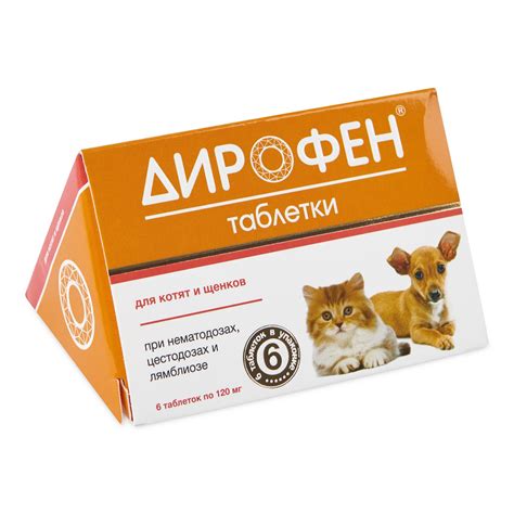 Как правильно применять суспензии и таблетки Дирофен для кошки и котят