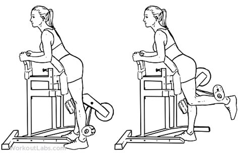 Standing Leg / Hamstring Curl | Illustrated Exercise guide - WorkoutLabs