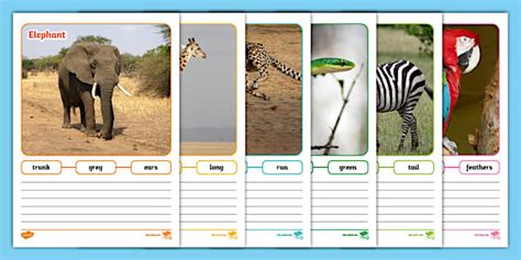 Hot Climate Animals Simple Sentence Photo Worksheets