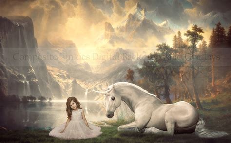 composite art info   life photography