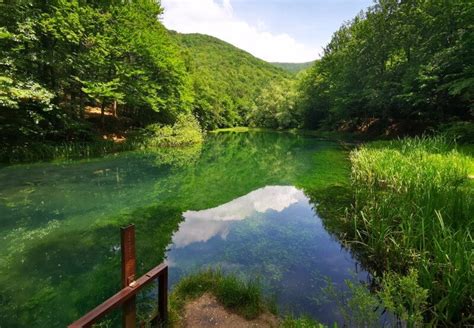 Grza A Favorite Picnic Spot More Than Belgrade