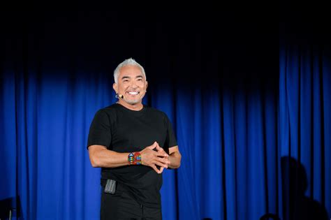 'Dog Whisperer' Cesar Millan Says You Probably Aren't Exercising Your ...