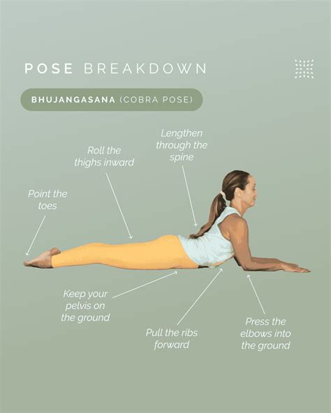 How To Do Bhujangasana Omstars