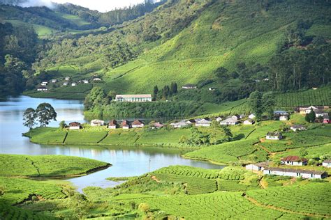 Munnar Packages From Bangalore Get Upto 40 Off