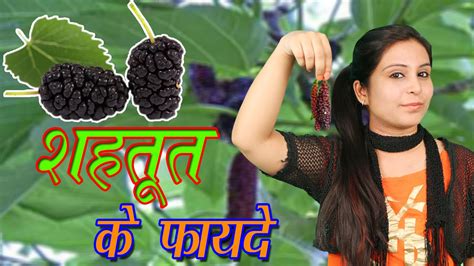 शहतूत के फायदे Shahtoot Ke Fayde Health Benefits Of Mulberries