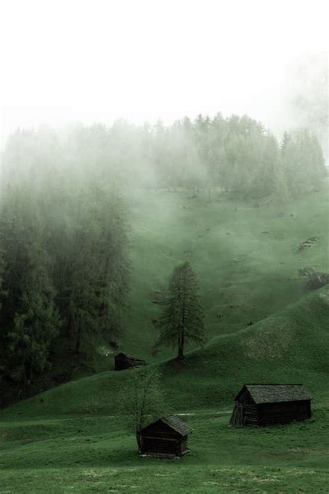 Photo By Eberhard Grossgasteiger On Pexels Forest Cool Landscapes