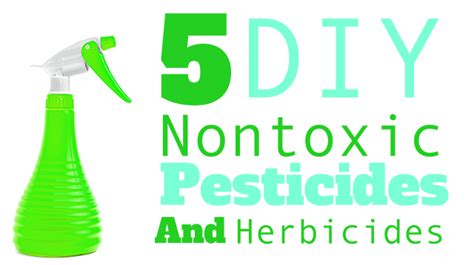 5 Nontoxic Pesticides And Herbicides You Can Make Yourself