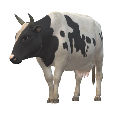 Cow isolated on a Transparent Background 23835810 PNG