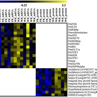 Heat Map Visualization Of Relative Expression Of Sixteen Genes And Nine