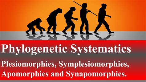 Phylogenetic Systematics: Plesiomorphies, Symplesiomorphies ...