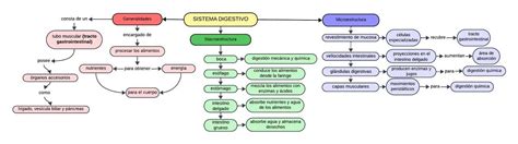 Sistema Digestivo Gabriela Cristina Alarc N Calder N Udocz