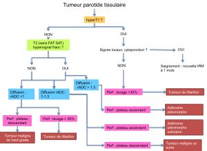 Tumeurs Des Glandes Salivaires Pinkybone